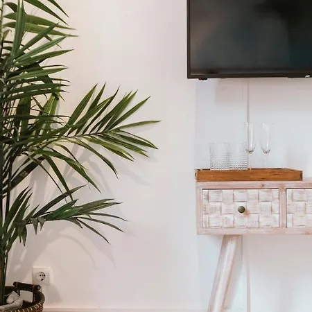 Bright And Cozy-1bd 1bth & 2bd 1bth- La Giralda Lägenhet *